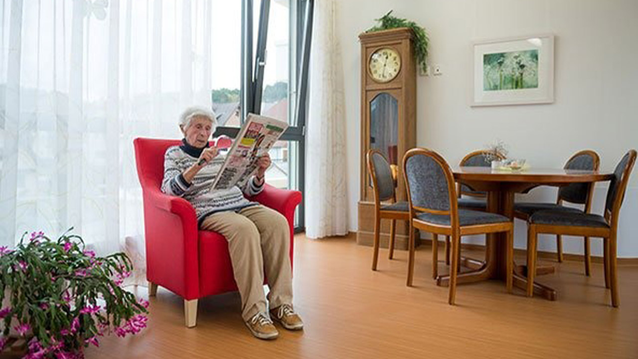 Evdiak Bild einer Seniorin im Sessel