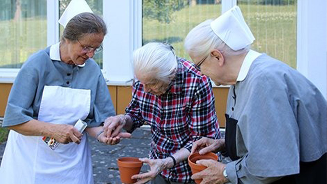 Evdiak Bild von drei Frauen, die Samen in einen Blumentopf geben