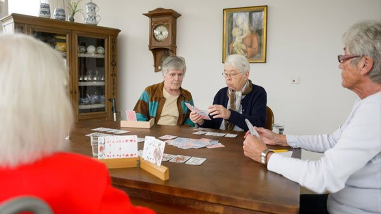 Evdiak Bild einer Gruppe Senioren, die Karten spielen