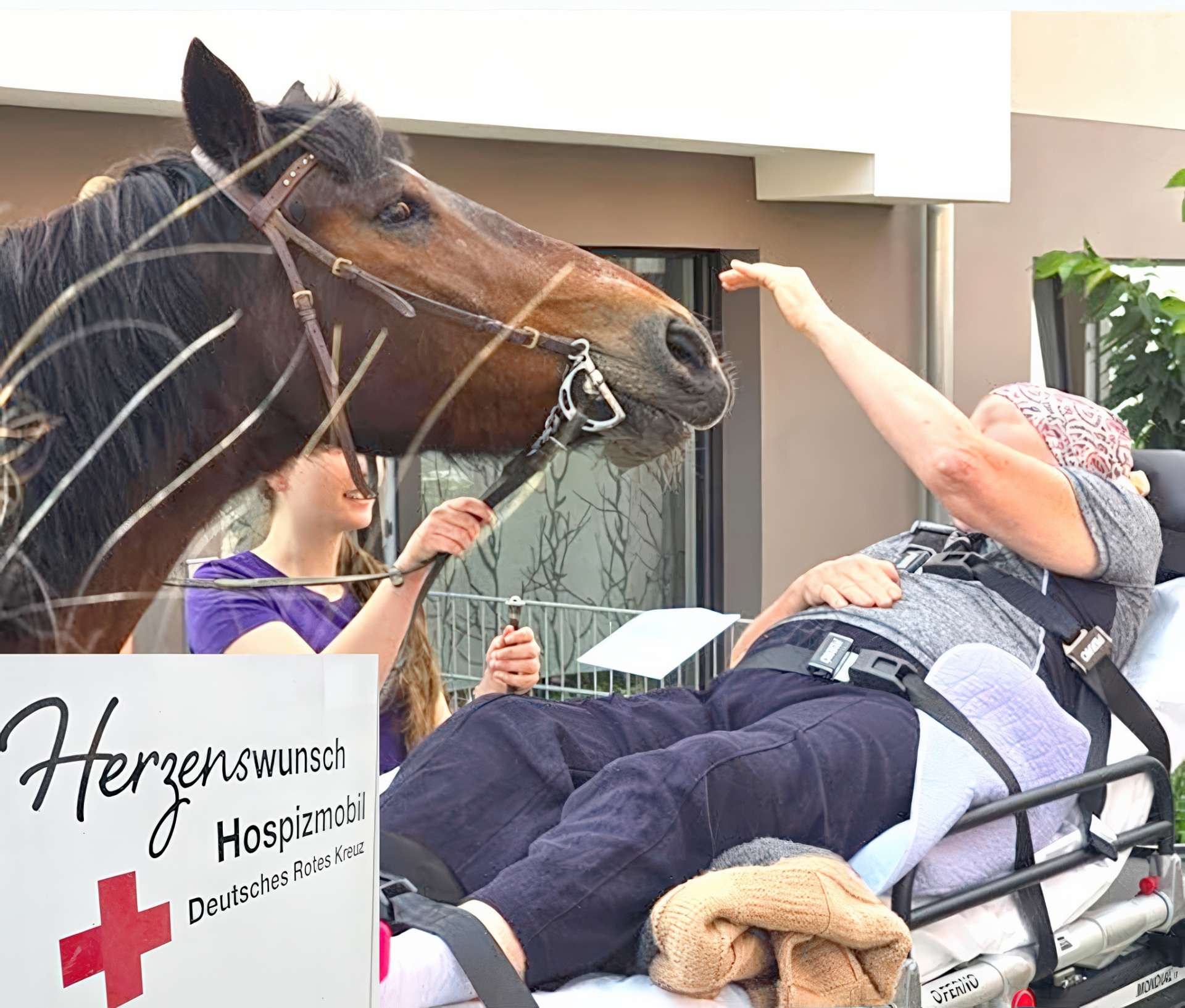 Evdiak Pferd mit zwei Menschen