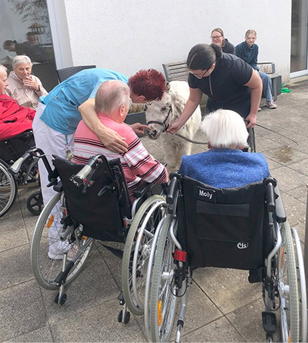 Evdiak Bild von Senioren, die ein Pony streicheln