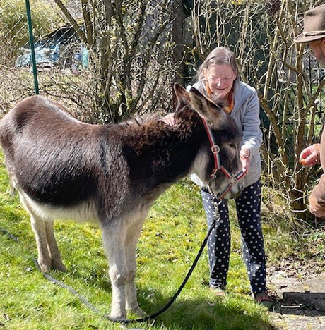 Evdiak Bild von einer Seniorin und einem Esel